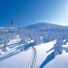 Paisaje nevado en Furano