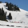 Esquiando Hurricane Ridge