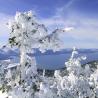 Vistas al lago Tahoe