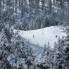 Vista de la estación de Masella en el Pirineo catalán, entre bosques