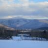 Paisaje nevado en Mount Greylock