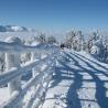 Imagen de Poiana Brasov en invierno