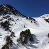 Vallter 2000