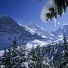 Wengen-Männlichen en el cantón de Berna