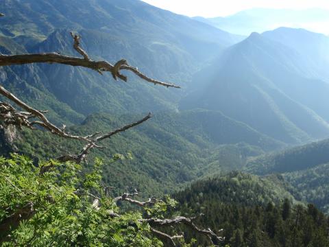 vistas-camino-coll-verdet