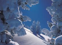 Austria, un magnífico destino de nieve que desearás no haber conocido