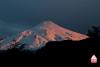 Avalancha en el Volcán Villarica