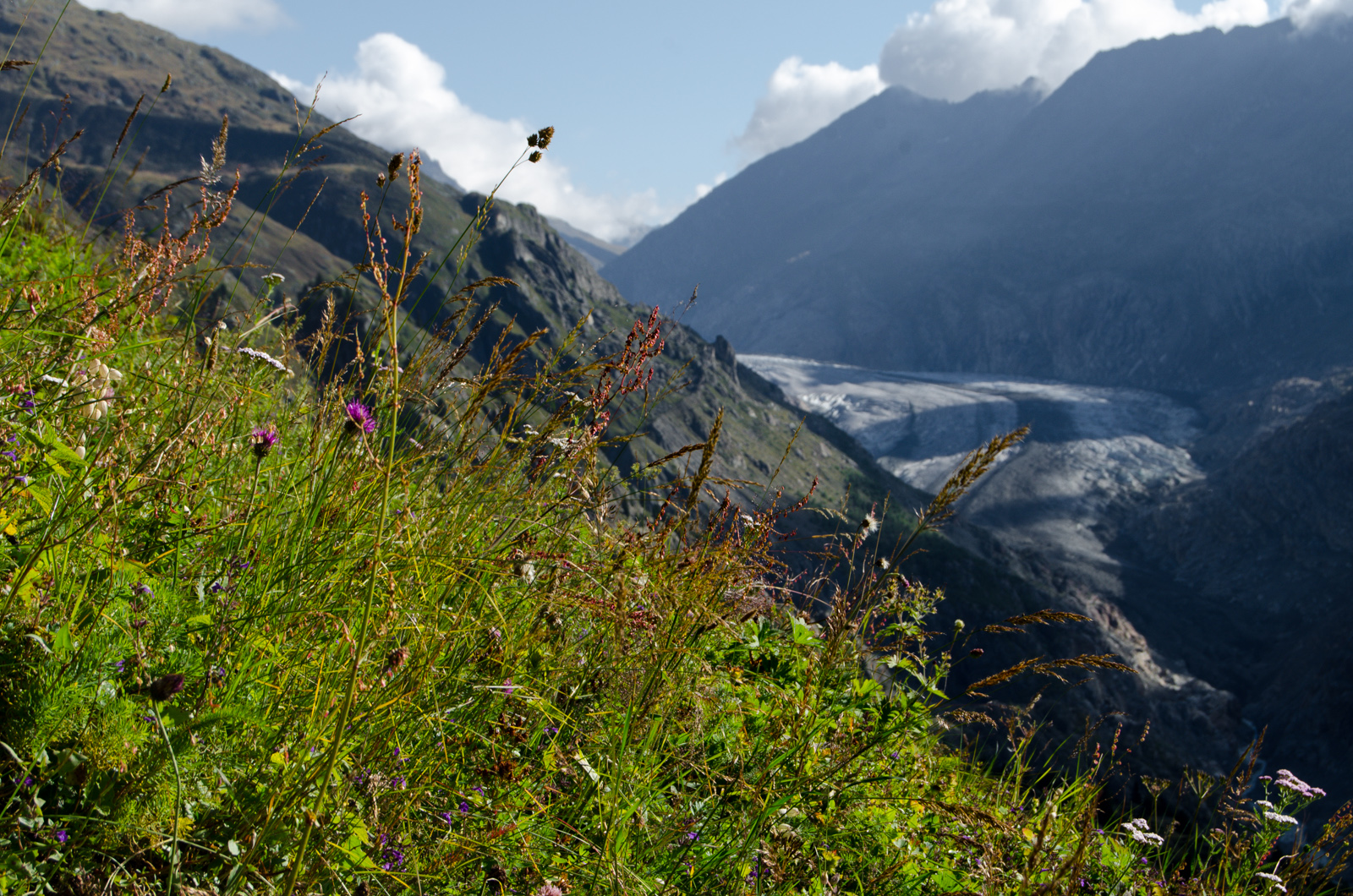 Aletschgletscher en verano desde Belalp