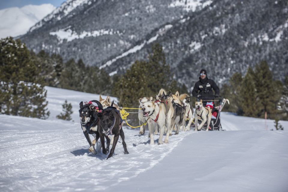 Mushing - Trineos de Perros en Grandvalira / Roc Roi