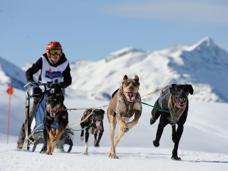 Mushing en Beret. (Campeonato de España de trineos con perros)