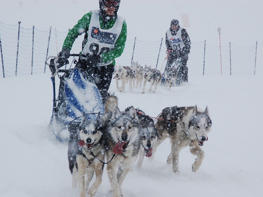 Este fin de semana se estrena la Copa Gos Àrtic, espíritu de Pirena