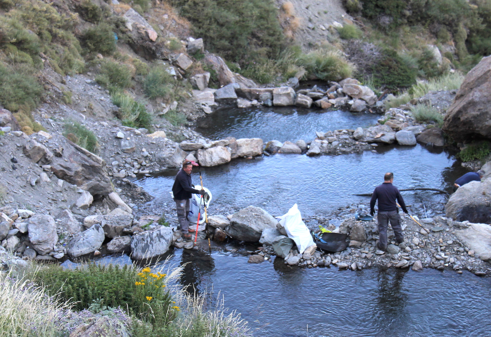 Sierra Nevada realiza una campaña de limpieza en el entorno del área esquiable