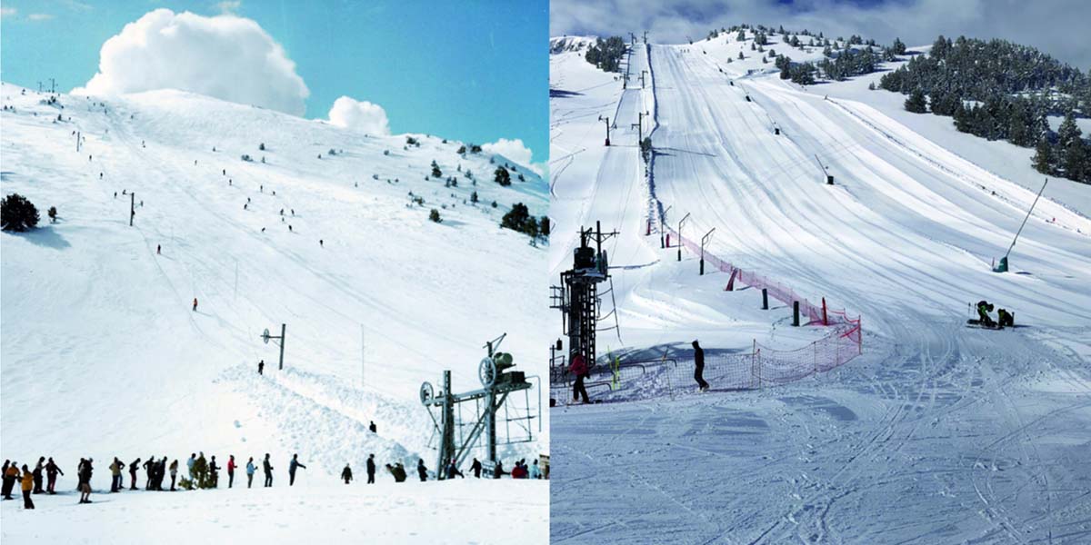 Así ha crecido el bosque en Masella en los últimos 50 años