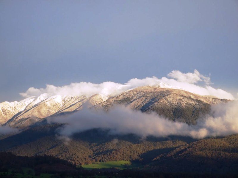 El Mount Bogong, lugar conocido por el freeride australiano, donde dos snowboarders desaparecieron la semana pasada. Crédito: Lloyd B. -Panoramio-