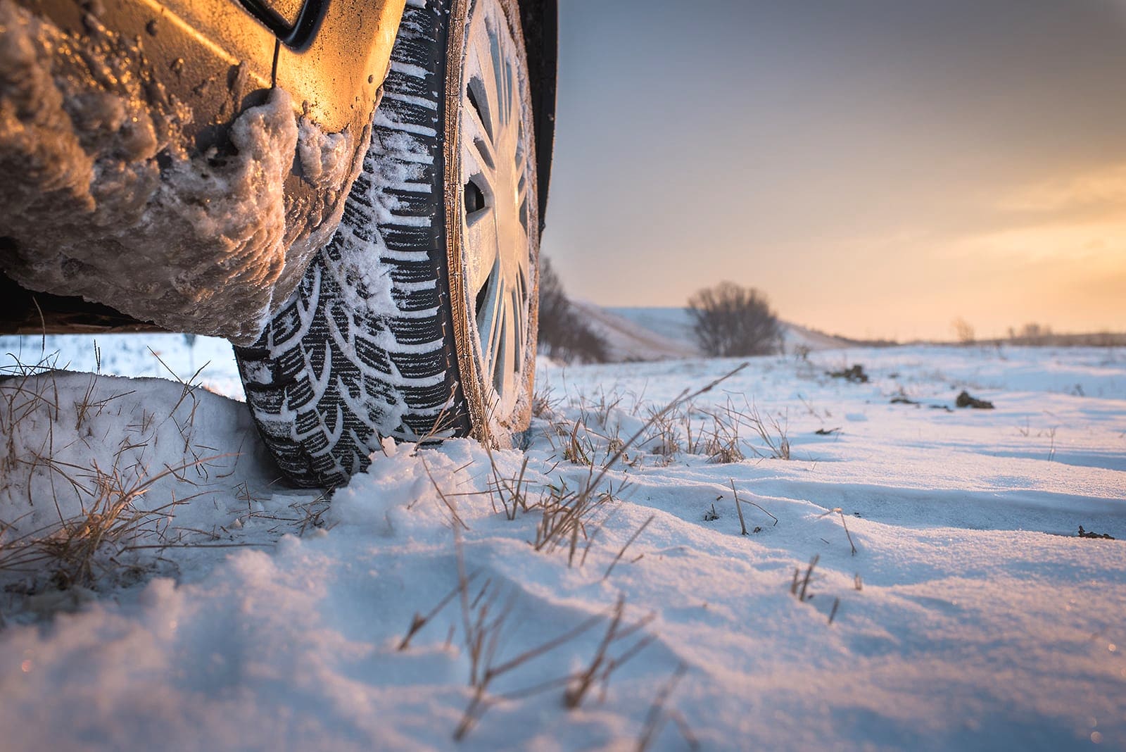 Cambios en la normativa de neumáticos de nieve para el invierno 2024: ¿Qué debes saber?