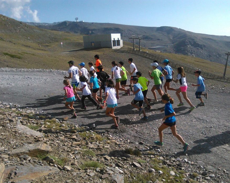 Amplia oferta de campamentos de verano para niños y adolescentes en Sierra Nevada