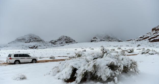 Nevada sin precedentes en el desierto de Arabia Saudita