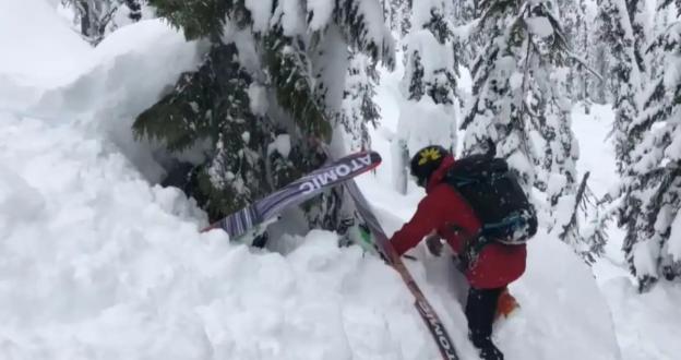 ¿Conoces el peligro oculto de los pozos de nieve cuando esquías entre árboles?