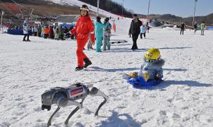 Una estación de esquí de China ensaya con perros robot para vigilar sus pistas