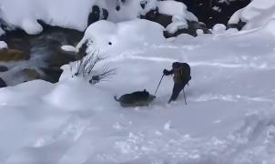 Vídeo: Un jabalí embiste a un esquiador de montaña en los Pirineos