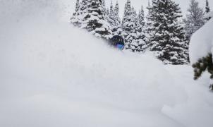 Lake Louise pagará 2 millones de multa por talar árboles en peligro de extinción para abrir una pista