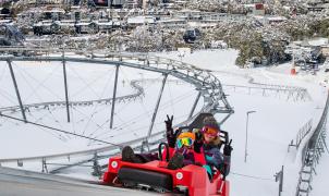 Thredbo (Australia) tendrá una montaña rusa alpina durante todo el año