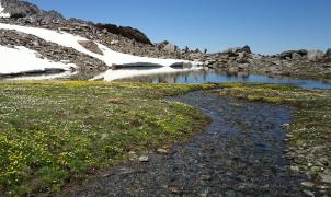 Sierra Nevada se será un referente mundial contra el cambio climático