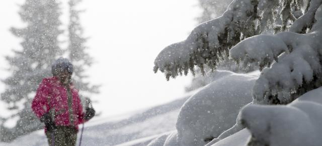 nieve en polvo