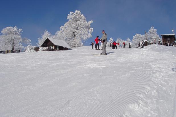 Bouřňák