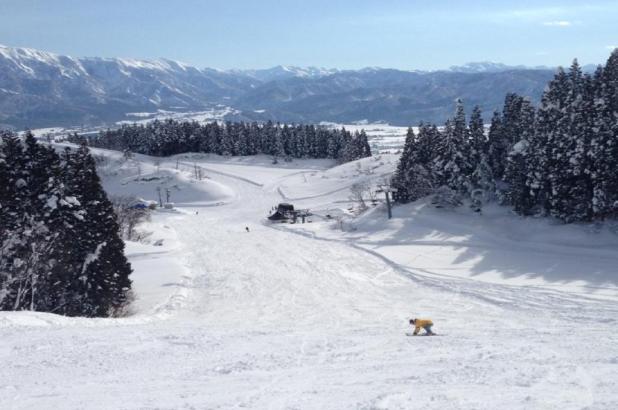 Foto de SnowJapan esquiando en Chateau Shiozawa