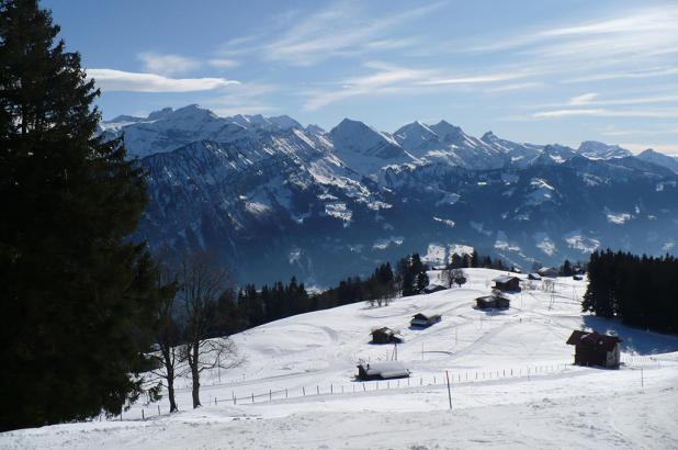 Paisaje nevado en Hohwald