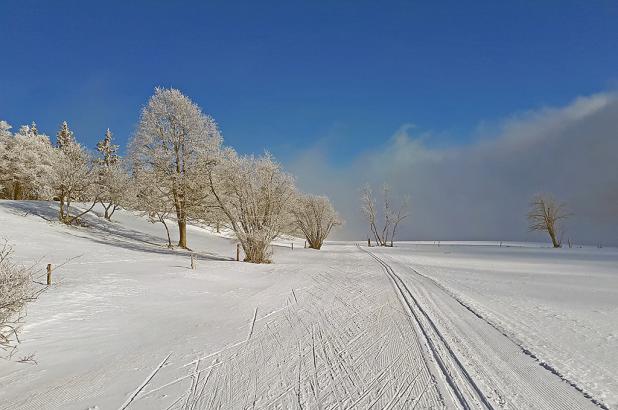 Esquí de fondo en La Vue des Alpes