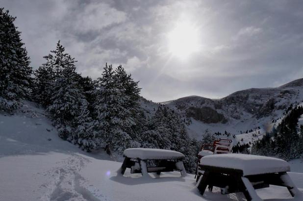 Paisaje invernal en Masella