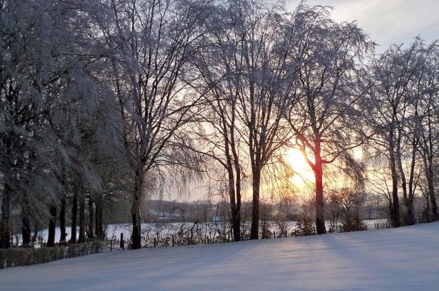 Invierno en Nidrum/Zosterbach, Valonia