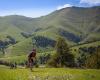 A falta de cinco meses, el Andorra Ultra Trail Vallnord llega a los 2.000 inscritos