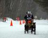 Mushing, alpino, nórdico y snowboard, la actividad internacional en competición de RFEDI no cesa