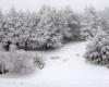 Las fotos y el vídeo de la gran nevada de abril en Sierra Nevada