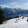 Paisaje nevado en Hohwald