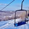 Telesilla en Marquette Mountain