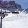 Telesilla en Piani di Bobbio