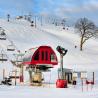 Telesilla en Wilmot Mountain