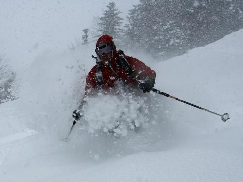 Incluso en dias de fuertes nevadas, podemos encontrar el paraíso si buscamos terreno arbolado