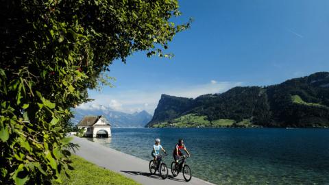 Descubre los Lagos del centro de Suiza