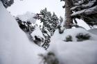 Freeride en Alta Ski Area en Utah