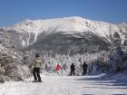 Esquiando en Cannon Mountain