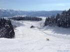 Foto de SnowJapan esquiando en Chateau Shiozawa