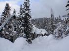 Foto de Emerald Lake, BC, Canada