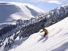 La Molina + Masella