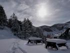 Paisaje invernal en Masella