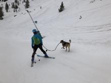 Llega el Skimo con perro en pistas ¿Se puede? ¿Se debe? ¿En una estación abierta?